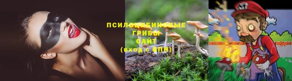 спайс Абаза