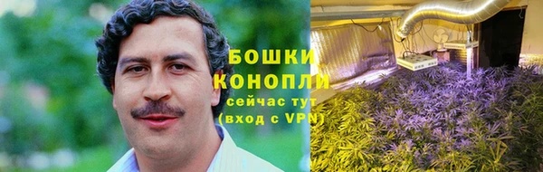 крисы Нязепетровск